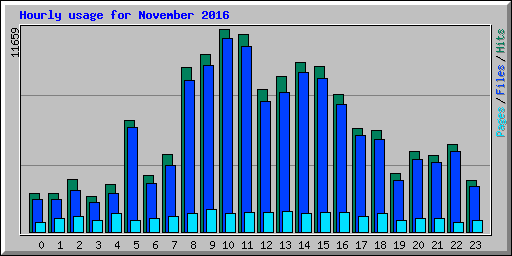 Hourly usage for November 2016